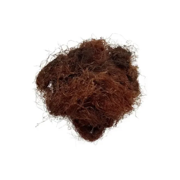 BARBA DE CHOCLO