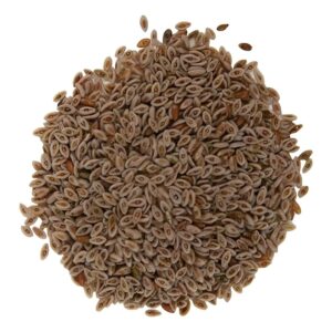 PSYLLIUM 100 GR