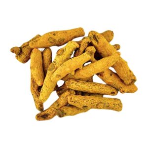 CURCUMA RAIZ 100GR