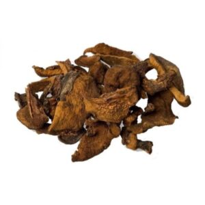 HONGOS DE PINO 100GR