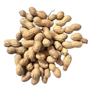 MANI CON CASCARA 100GR