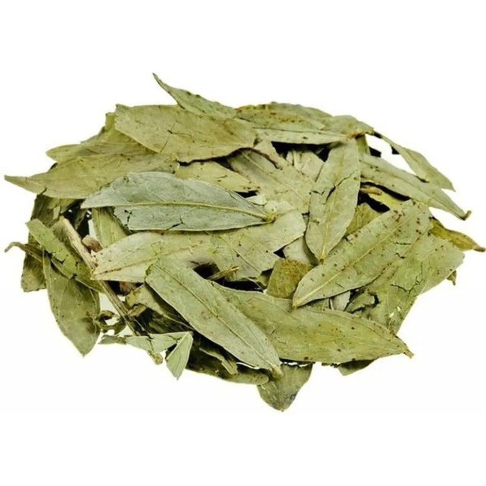 SEN 50 GR