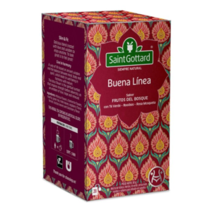 SAINT GOTTARD BUENA LINEA X20