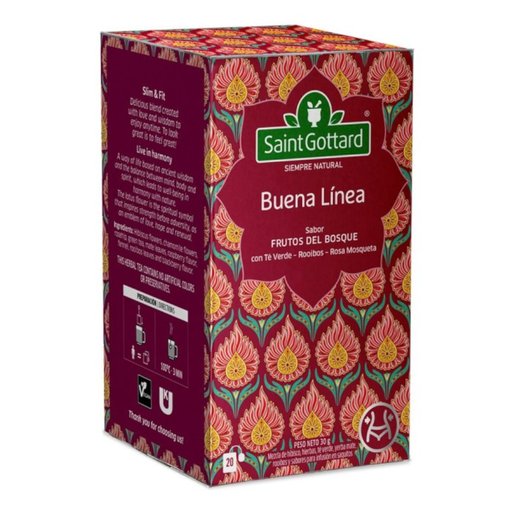 SAINT GOTTARD BUENA LINEA X20