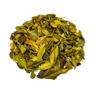 UVA URSI 50GR