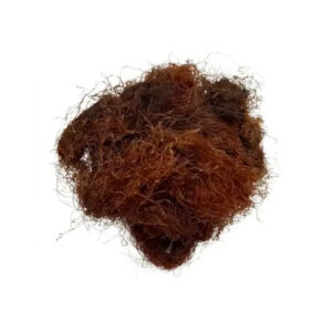 BARBA DE CHOCLO x 50G