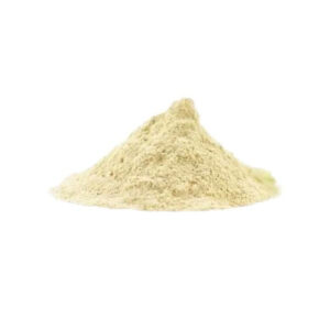 CEBOLLA EN POLVO x 50GR