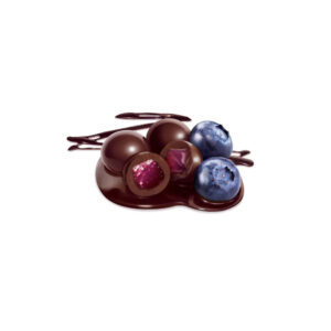 ARANDANOS CON CHOCOLATE a granel