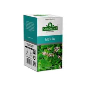 SAINT GOTTARD X20 MENTA