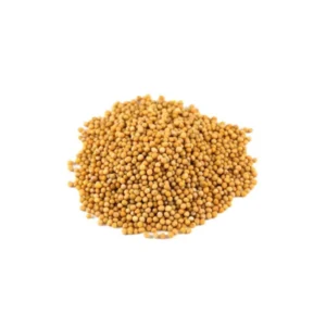 SEMILLAS MOSTAZA EN GRANOS 100gr
